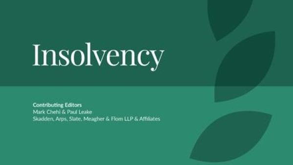 insolvency-2019-lg